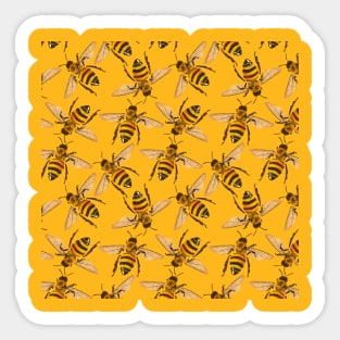 Cute Yellow Bees Honey Bee Insect Nature Summer Gift Sticker